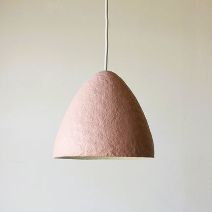 Dome pendant light rose